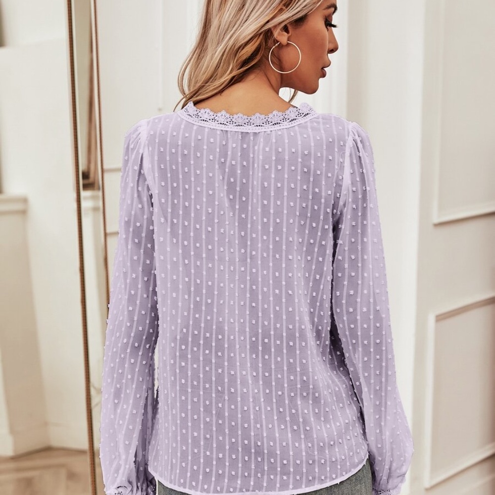 Swiss Dot Lace Sheer Long Sleeve Blouse - Picture 12 of 16